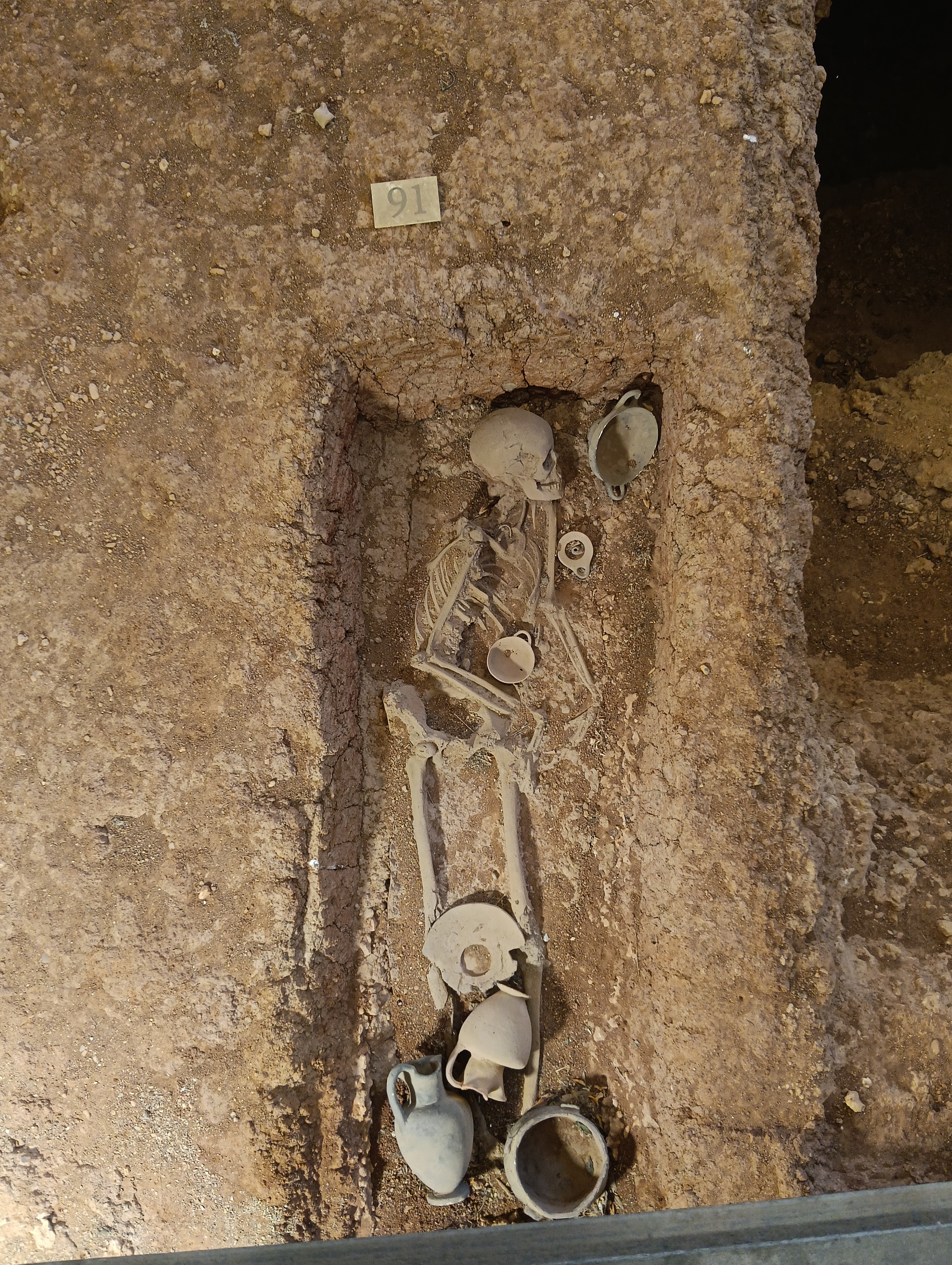 Piccoli Archeologi Crescono: l'I.C. "Falcone e Borsellino" alla Scoperta delle Radici di Palermo