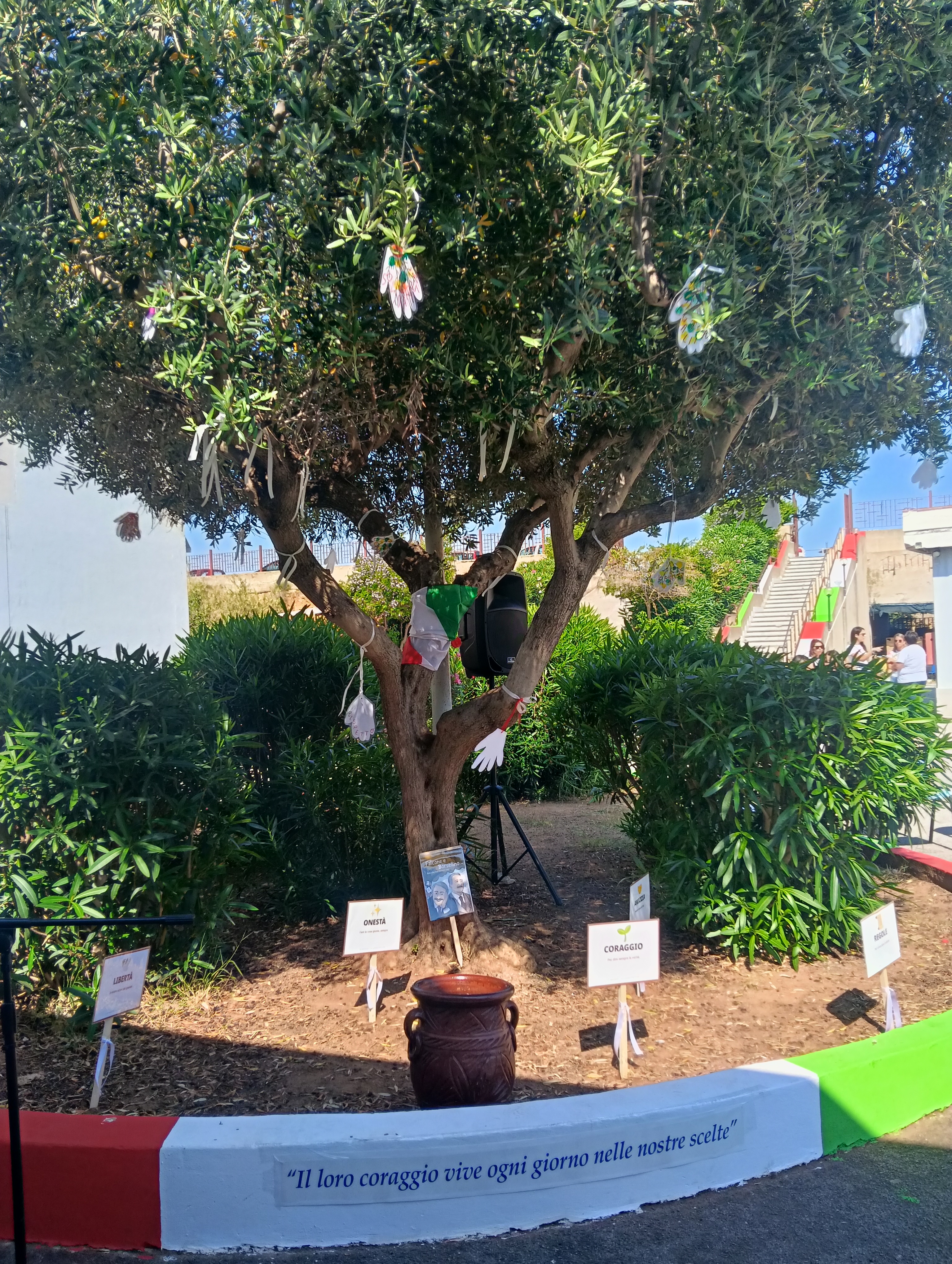 IMG20260525100431