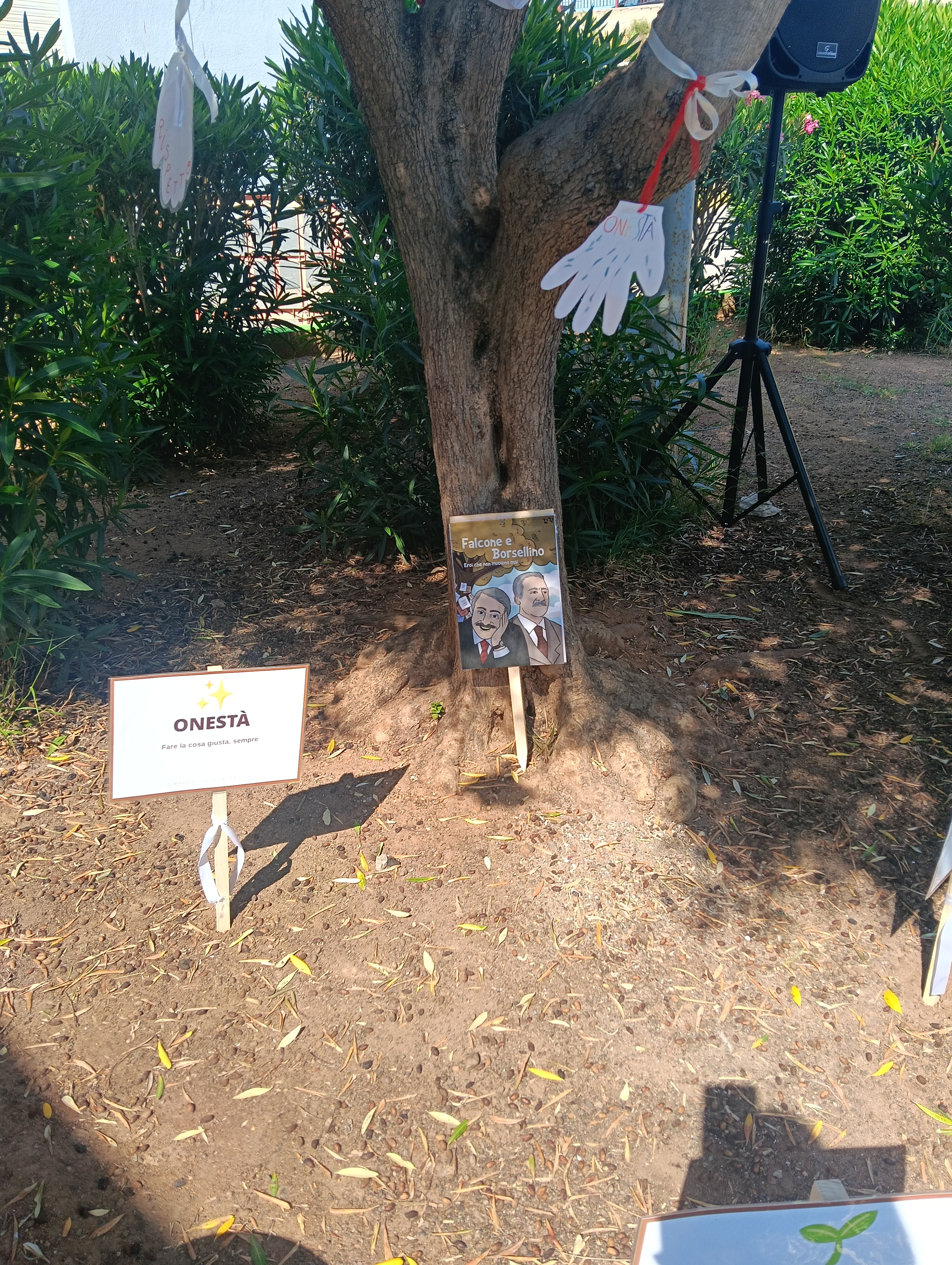 IMG20260525100441