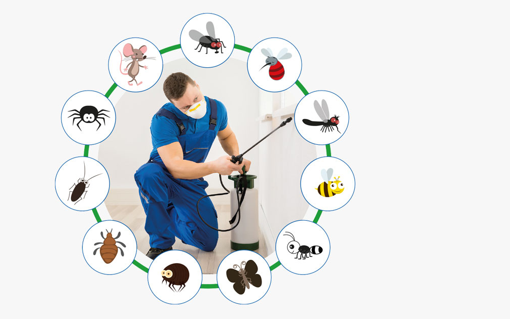 DETERMINA A CONTRARRE N. 7 - AFFIDAMENTO DIRETTO - Servizio di disinfestazione e derattizzazione di tutti i plessi dell’istituto il 16/02/2026